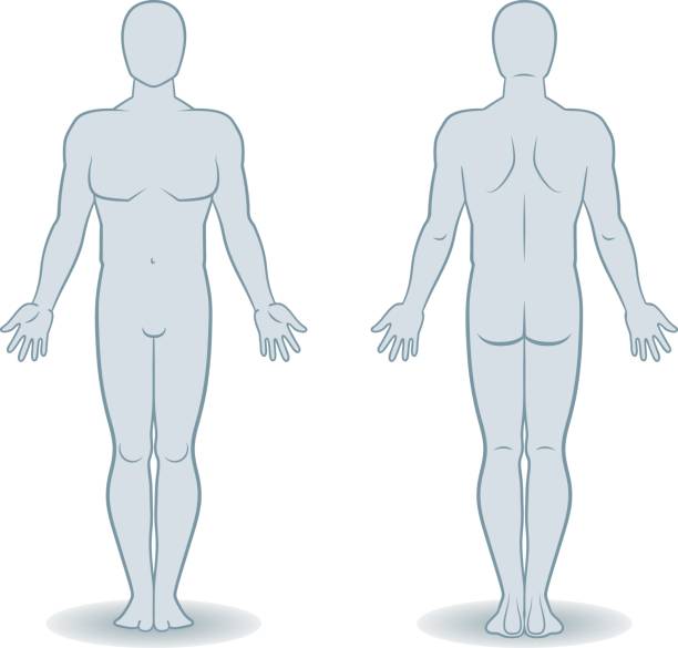 Body diagram marking where the worker was injured